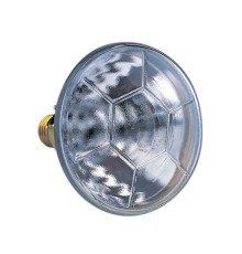Лампа  галогенная PAR38, 120 Вт, 24 В