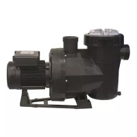 Насос  Victoria Plus Silent 10 м3/ч, 0.43 кВт, III, с префильтром, пластик