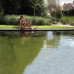 Лайнер  ПВХ Renolit Alkorplan Natural Pool, 2,05х20 м, цвет оливково-зеленый