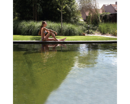 Лайнер  ПВХ Renolit Alkorplan Natural Pool, 2,05х20 м, цвет черный